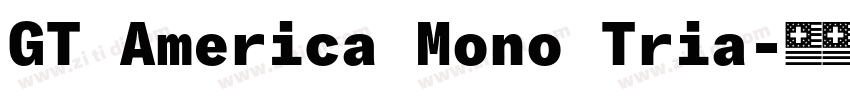 GT America Mono Tria字体转换